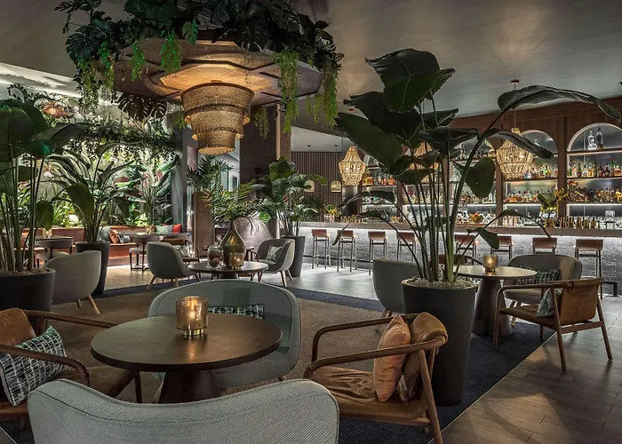 Thesis Hotel Miami Coral Gables, Curio Collection By Hilton